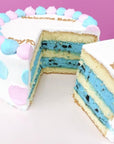 ジェンダーリビールケーキ《性別発表|センイルケーキ|ウェルカムケーキ♪》