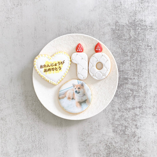 ケーキモチーフプリントクッキーセット