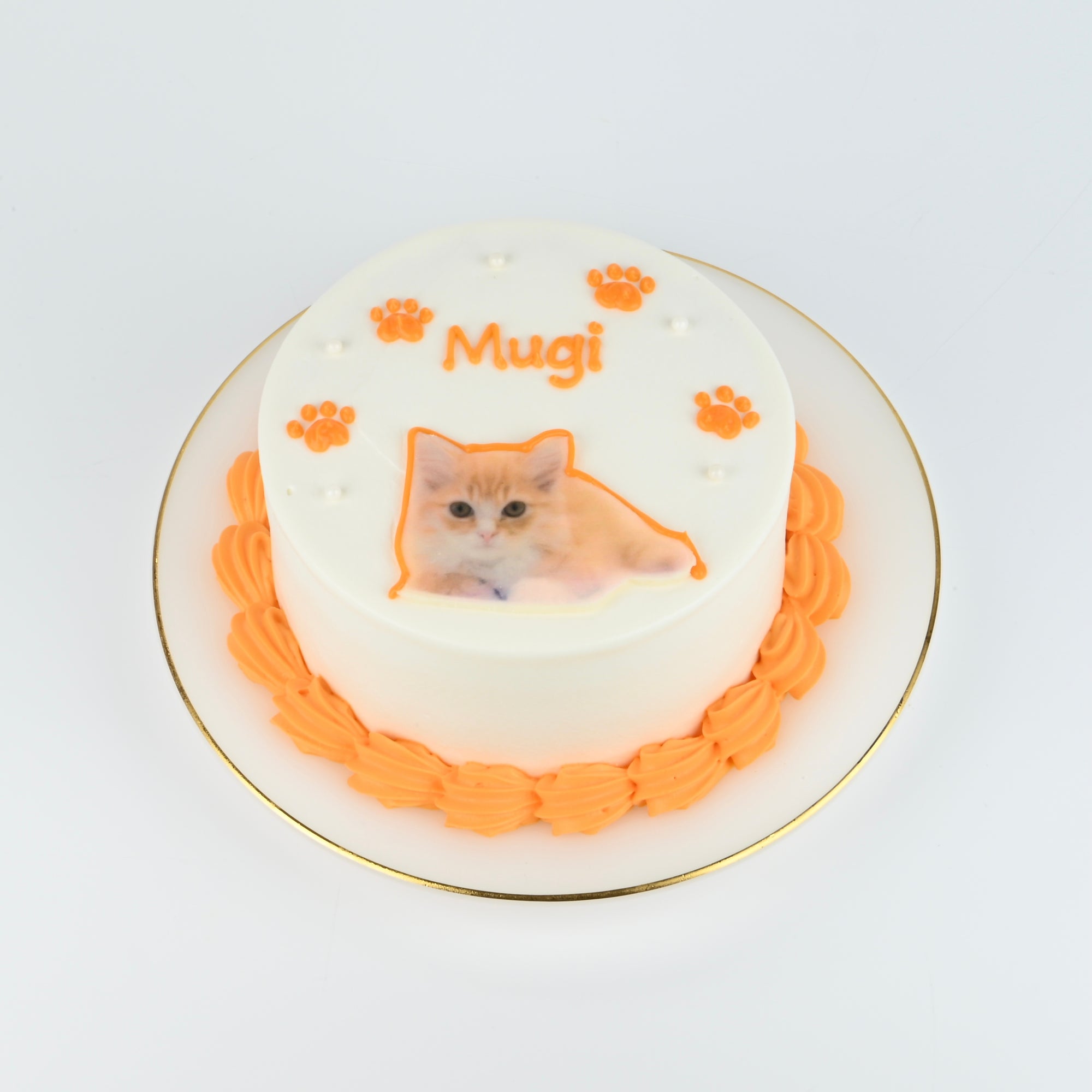 ねこ耳センイル写真ケーキ