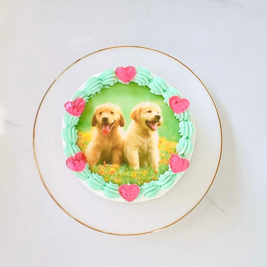 プリントゼリーセンイルケーキ