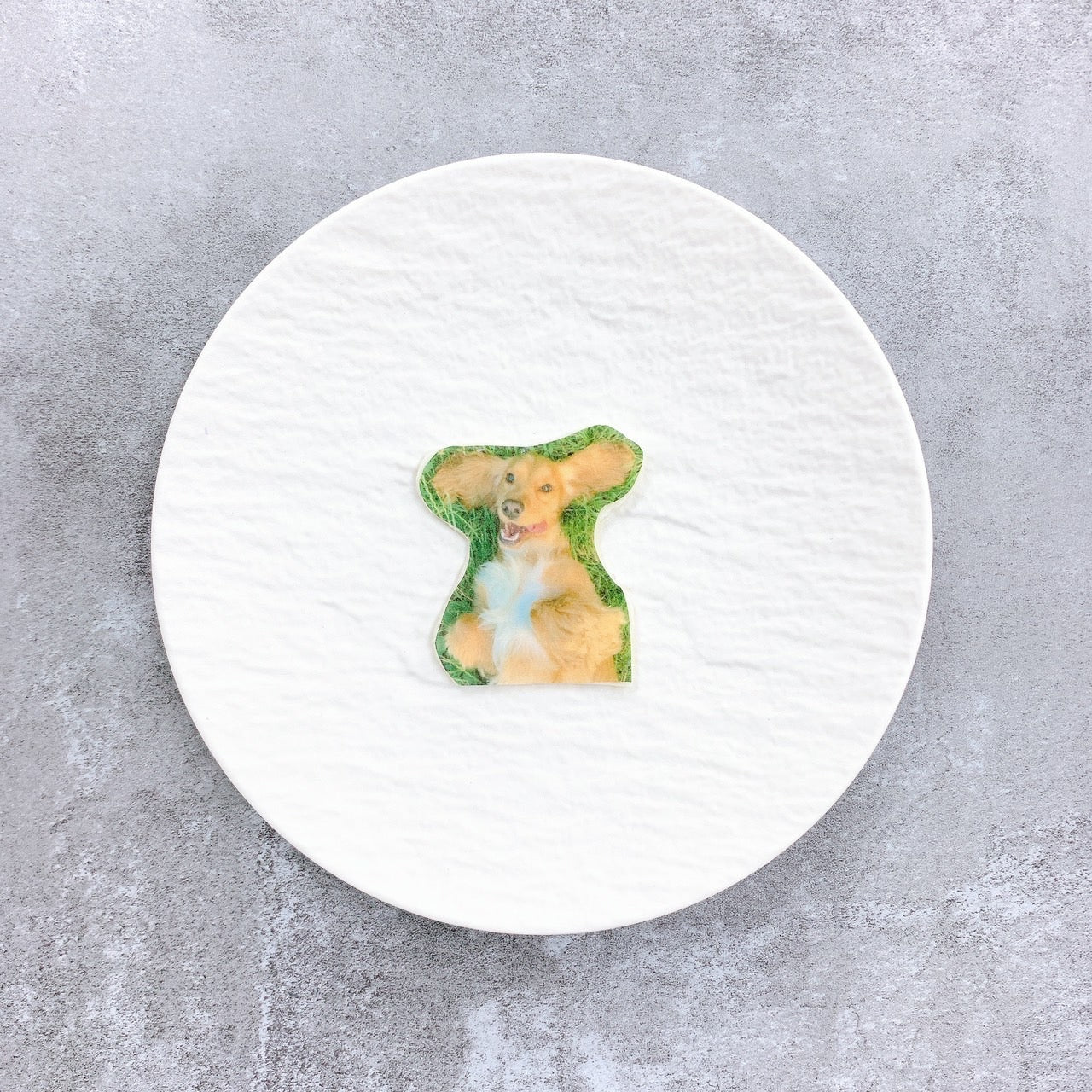 《ケーキの飾りに✧》プリントチョコ｜約5cm