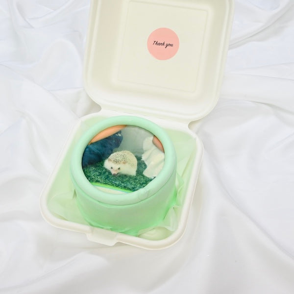 写真ランチボックスケーキ