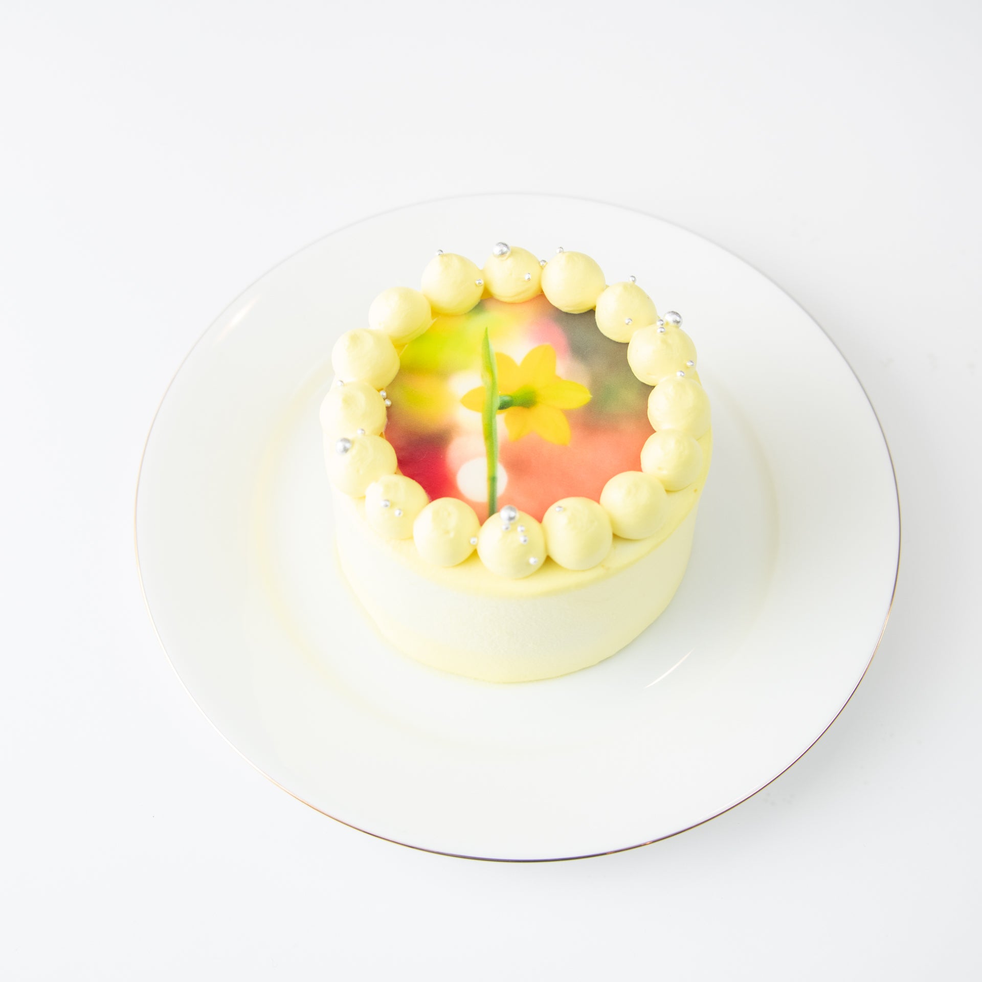 パステルカラー写真ケーキ