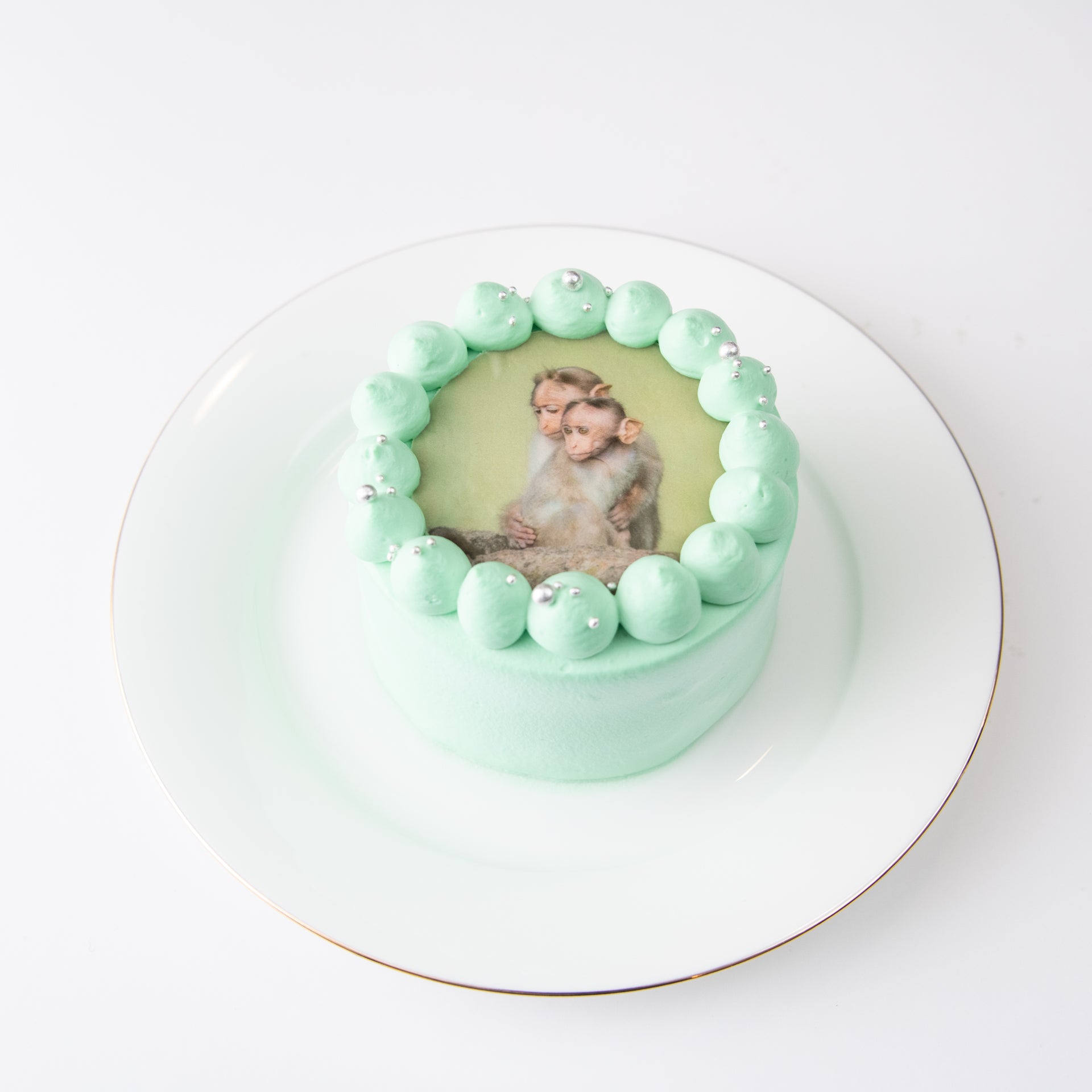 パステルカラー写真ケーキ